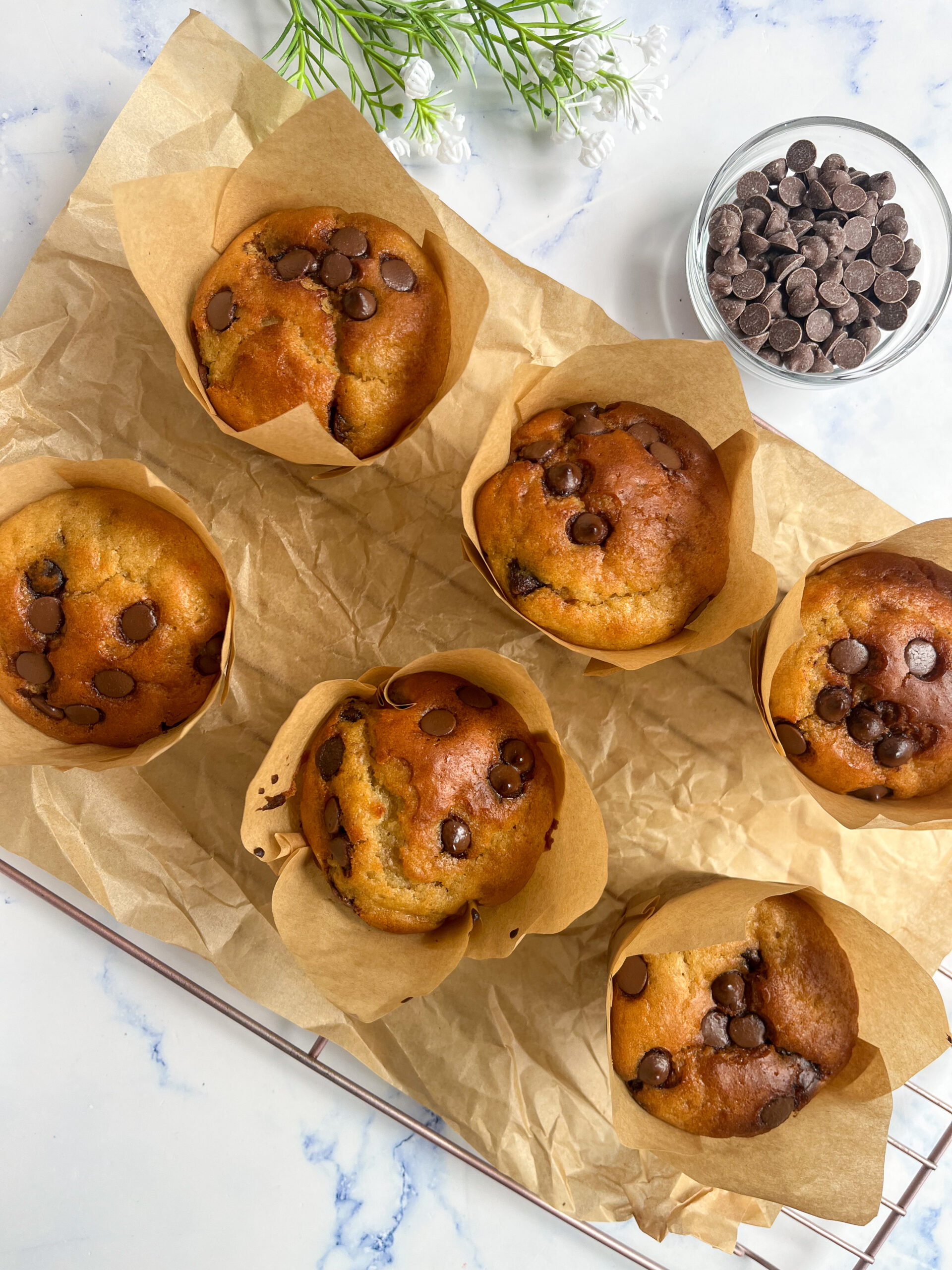 Healthier Chocolate Chip Muffins- No Bananas required! - Eliya Eats